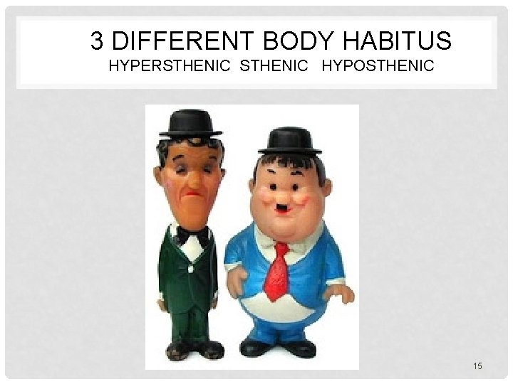 3 DIFFERENT BODY HABITUS HYPERSTHENIC HYPOSTHENIC 15 