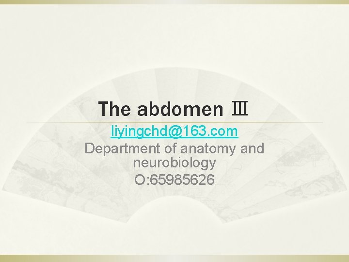 The abdomen Ⅲ liyingchd@163. com Department of anatomy and neurobiology O: 65985626 