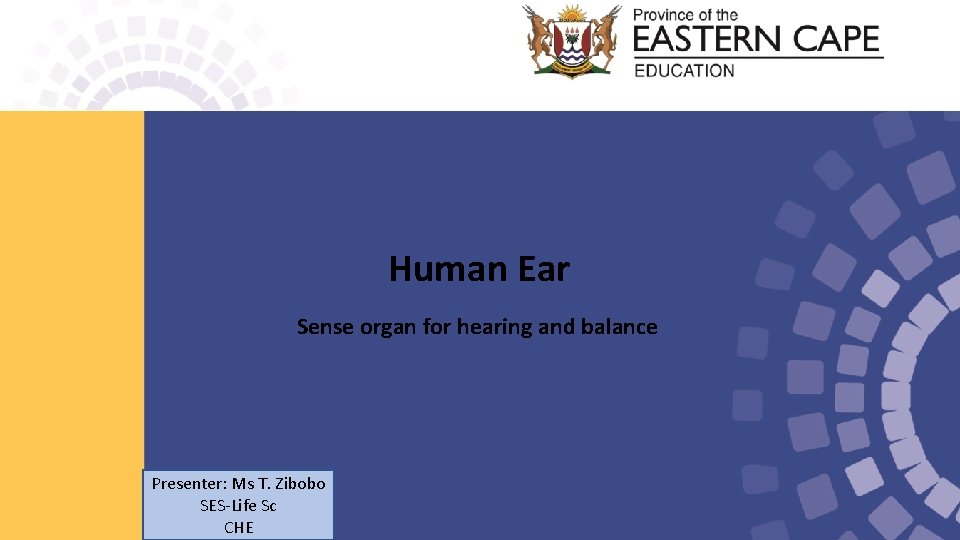 Human Ear Sense organ for hearing and balance Presenter: Ms T. Zibobo SES-Life Sc