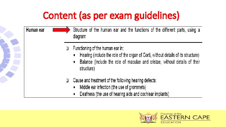Content (as per exam guidelines) 