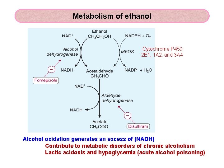 Metabolism of ethanol Cytochrome P 450 2 E 1, 1 A 2, and 3