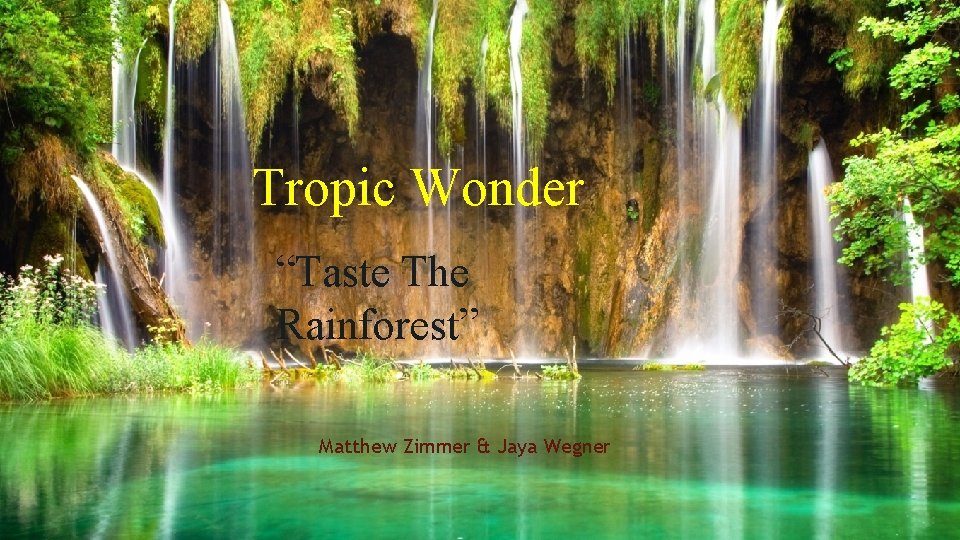 Tropic Wonder “Taste The Rainforest” Matthew Zimmer & Jaya Wegner 