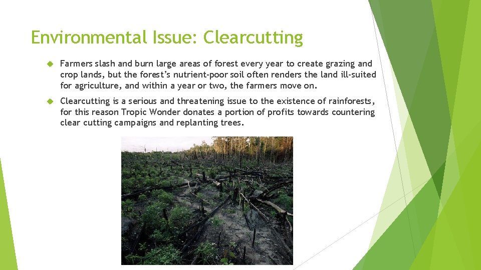 Environmental Issue: Clearcutting Farmers slash and burn large areas of forest every year to
