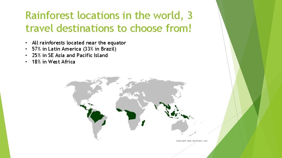 Rainforest locations in the world, 3 travel destinations to choose from! • • All