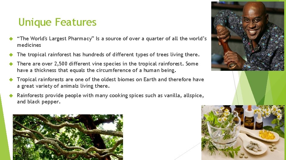 Unique Features “The World's Largest Pharmacy” Is a source of over a quarter of