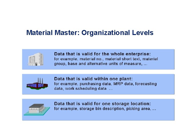 Material Master: Organizational Levels 