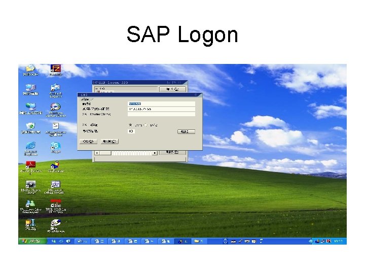 SAP Logon 