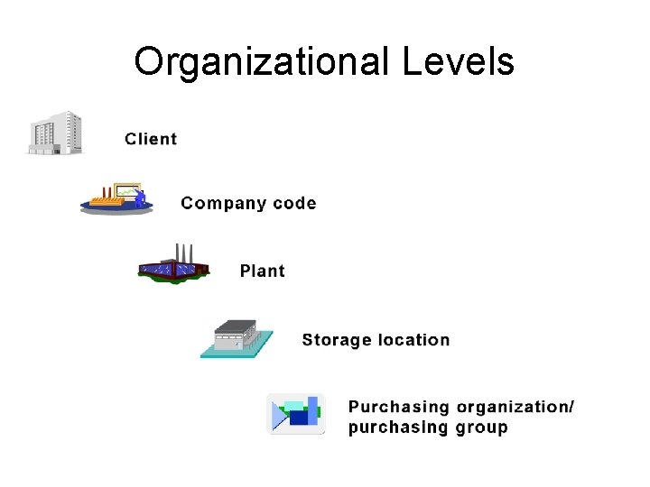 Organizational Levels 