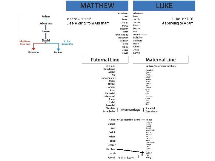Matthew 1: 1 -16 Descending from Abraham Luke 3: 23 -38 Ascending to Adam