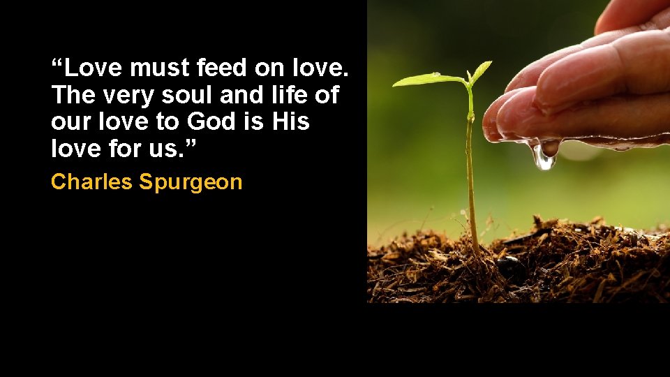 “Love must feed on love. The very soul and life of our love to “Love must feed on love. The very soul and life of our love to