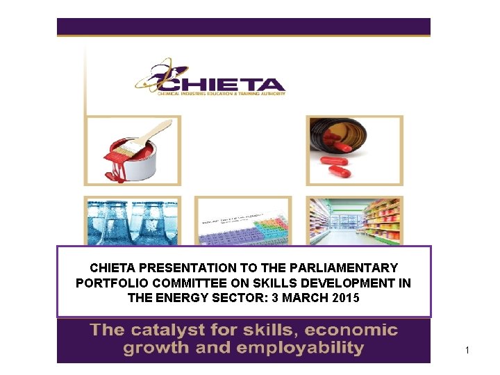 CHIETA PRESENTATION TO THE PARLIAMENTARY PORTFOLIO COMMITTEE ON SKILLS DEVELOPMENT IN THE ENERGY SECTOR:
