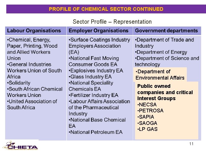 PROFILE OF CHEMICAL SECTOR CONTINUED Sector Profile – Representation • Department of Environmental Affairs