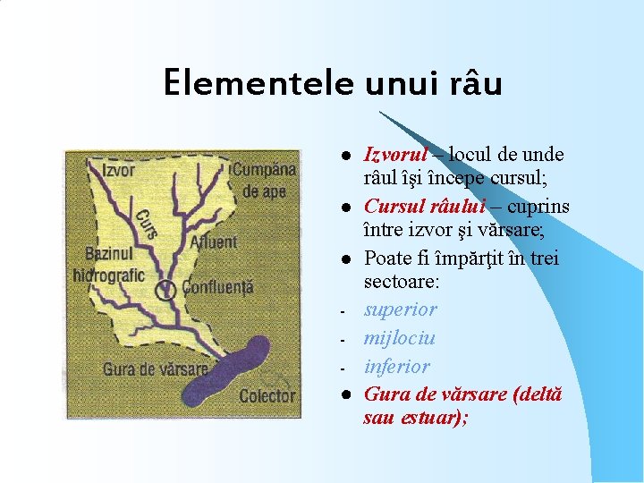 Elementele unui râu Izvorul – locul de unde râul îşi începe cursul; l Cursul