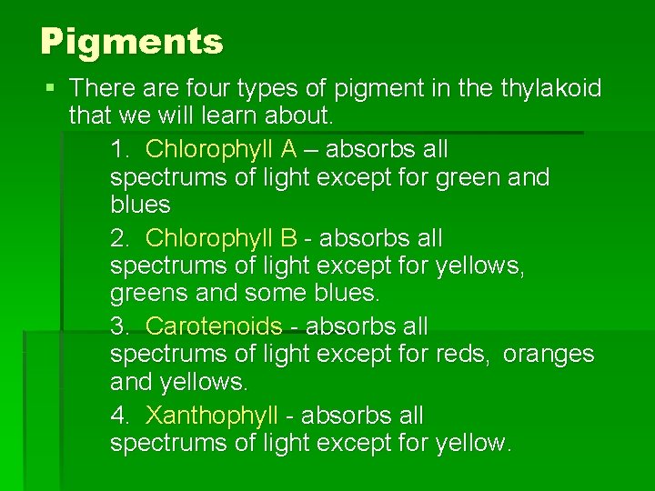 Pigments § There are four types of pigment in the thylakoid that we will Pigments § There are four types of pigment in the thylakoid that we will