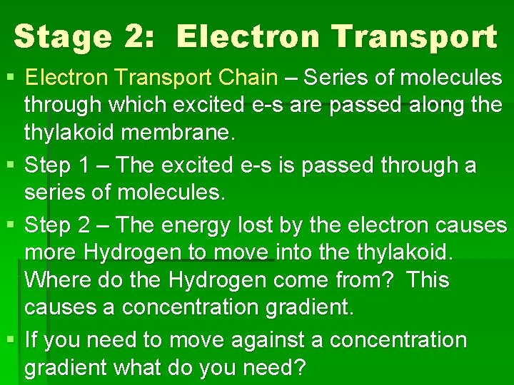 Stage 2: Electron Transport § Electron Transport Chain – Series of molecules through which Stage 2: Electron Transport § Electron Transport Chain – Series of molecules through which