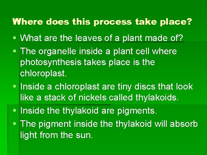 Where does this process take place? § What are the leaves of a plant Where does this process take place? § What are the leaves of a plant