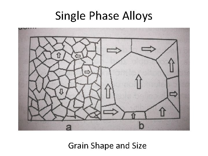 Single Phase Alloys Grain Shape and Size 