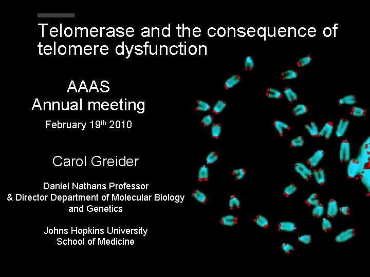 Telomerase and the consequence of telomere dysfunction AAAS Annual meeting February 19 th 2010