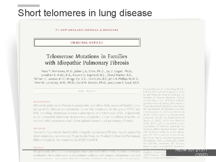 Short telomeres in lung disease NEJM 357 p 1317 (2007) 
