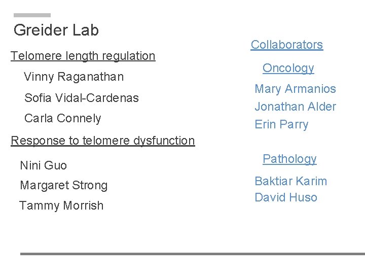 Greider Lab Telomere length regulation Vinny Raganathan Sofia Vidal-Cardenas Carla Connely Collaborators Oncology Mary Greider Lab Telomere length regulation Vinny Raganathan Sofia Vidal-Cardenas Carla Connely Collaborators Oncology Mary