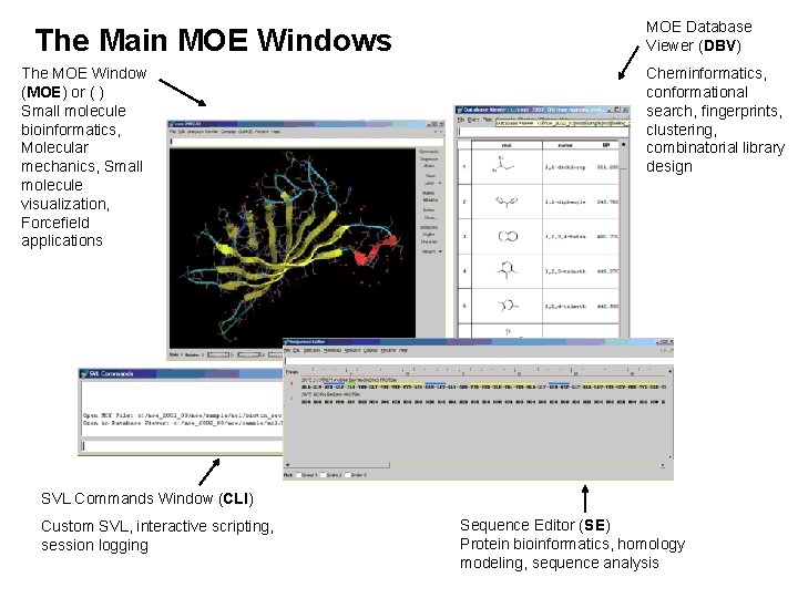 The Main MOE Windows The MOE Window (MOE) or ( ) Small molecule bioinformatics,