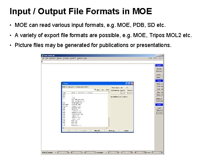 Input / Output File Formats in MOE • MOE can read various input formats,