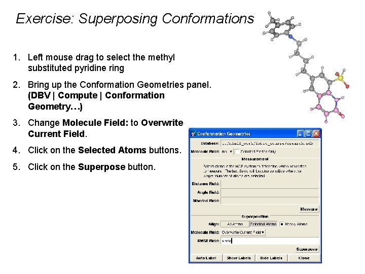 Exercise: Superposing Conformations 1. Left mouse drag to select the methyl substituted pyridine ring