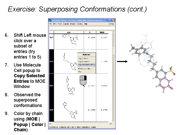 Exercise: Superposing Conformations (cont. ) 6. Shift Left mouse click over a subset of