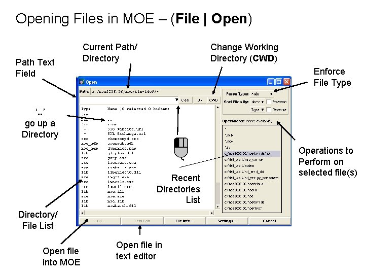 Opening Files in MOE – (File | Open) Path Text Field Current Path/ Directory