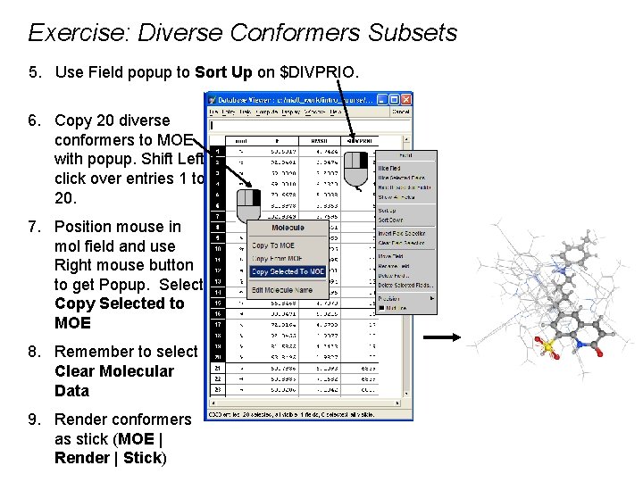 Exercise: Diverse Conformers Subsets 5. Use Field popup to Sort Up on $DIVPRIO. 6.