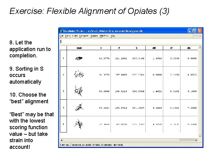 Exercise: Flexible Alignment of Opiates (3) 8. Let the application run to completion. 9.