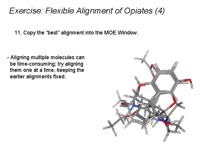 Exercise: Flexible Alignment of Opiates (4) 11. Copy the “best” alignment into the MOE