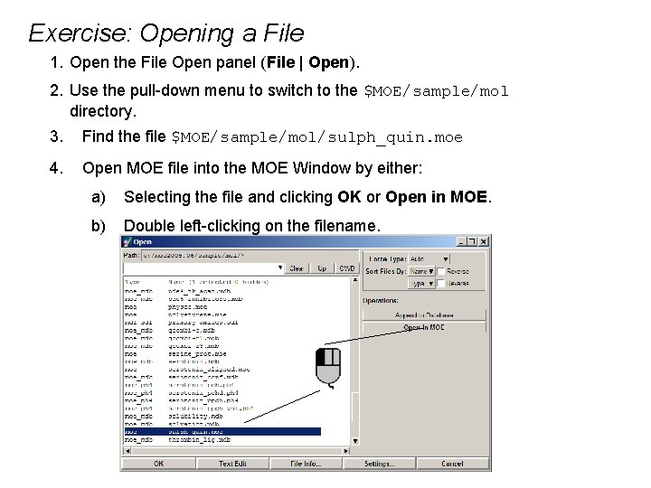 Exercise: Opening a File 1. Open the File Open panel (File | Open). 2.