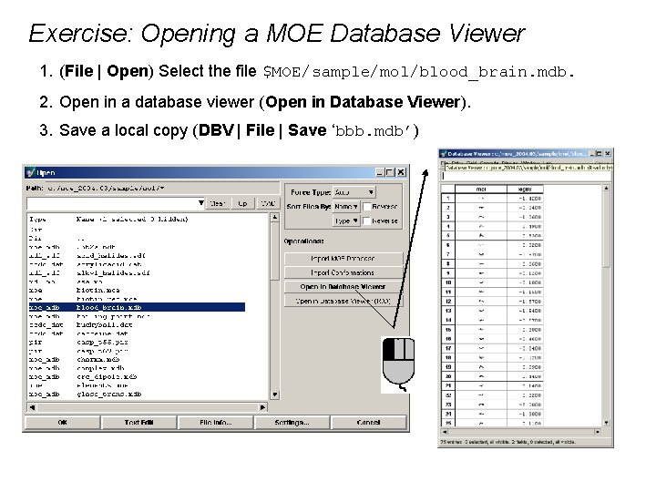 Exercise: Opening a MOE Database Viewer 1. (File | Open) Select the file $MOE/sample/mol/blood_brain.