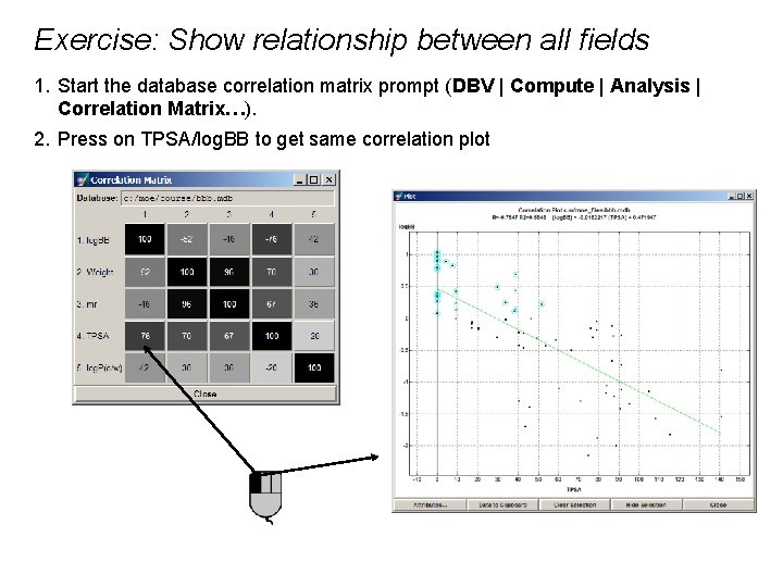 Exercise: Show relationship between all fields 1. Start the database correlation matrix prompt (DBV