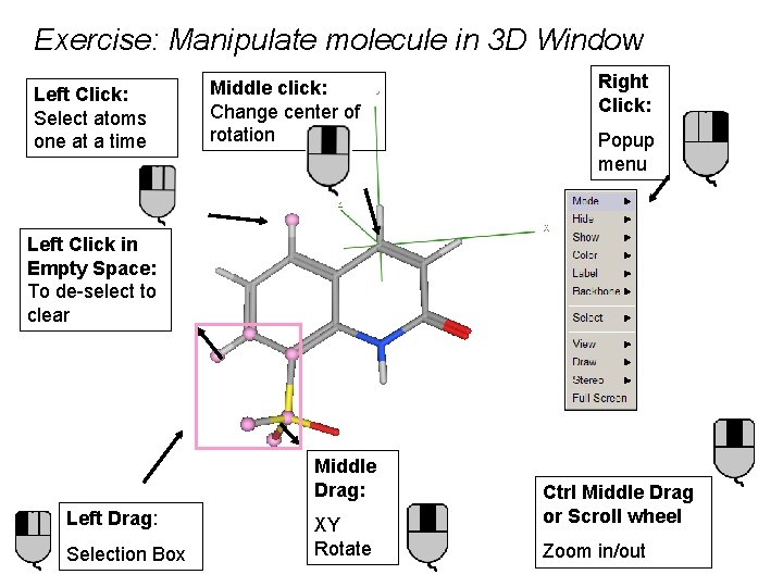 Exercise: Manipulate molecule in 3 D Window Left Click: Select atoms one at a