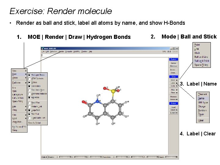 Exercise: Render molecule • Render as ball and stick, label all atoms by name,