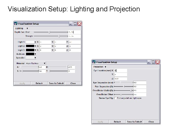 Visualization Setup: Lighting and Projection 