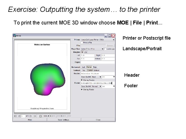 Exercise: Outputting the system… to the printer To print the current MOE 3 D