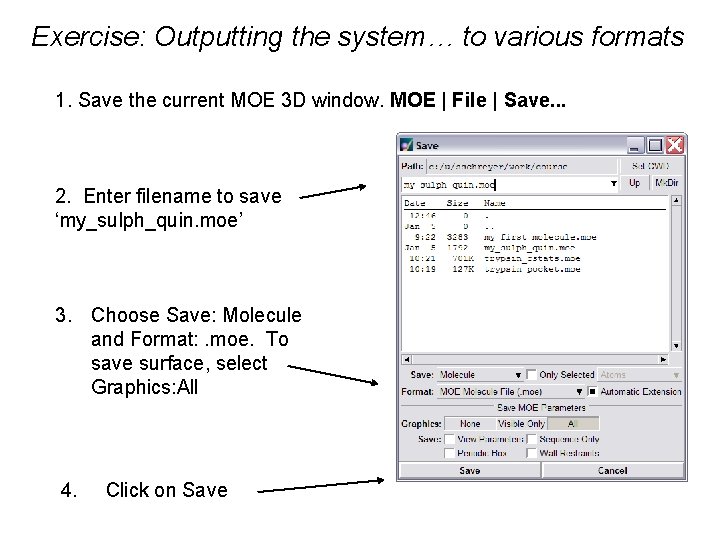 Exercise: Outputting the system… to various formats 1. Save the current MOE 3 D
