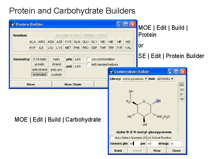 Protein and Carbohydrate Builders MOE | Edit | Build | Protein or SE |