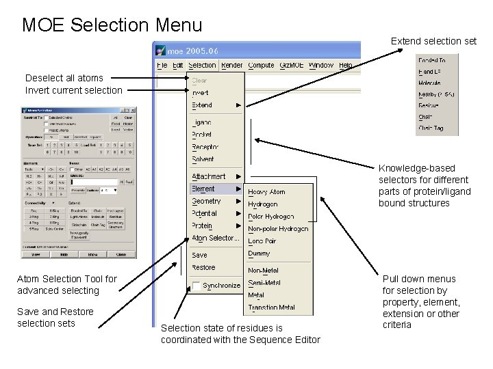 MOE Selection Menu Extend selection set Deselect all atoms Invert current selection Knowledge-based selectors