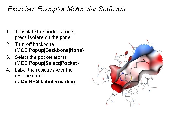 Exercise: Receptor Molecular Surfaces 1. To isolate the pocket atoms, press Isolate on the