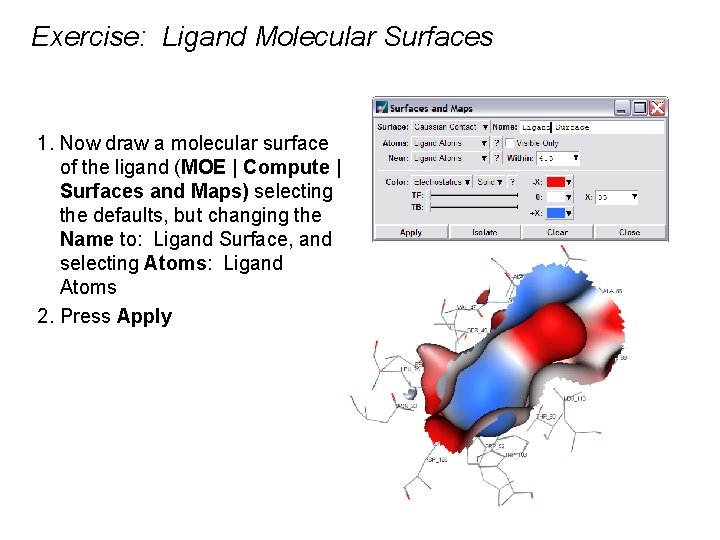 Exercise: Ligand Molecular Surfaces 1. Now draw a molecular surface of the ligand (MOE