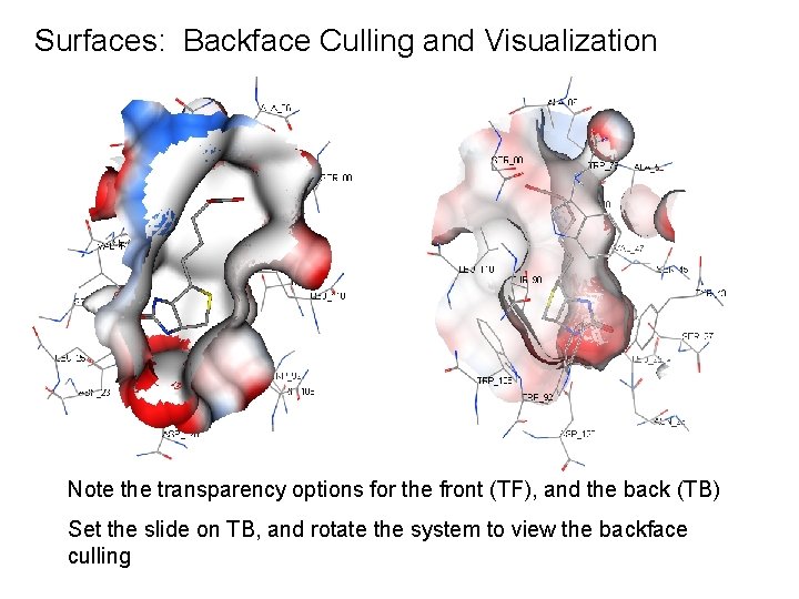 Surfaces: Backface Culling and Visualization Note the transparency options for the front (TF), and