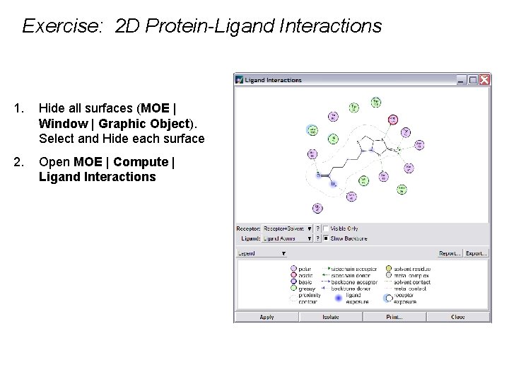 Exercise: 2 D Protein-Ligand Interactions 1. Hide all surfaces (MOE | Window | Graphic