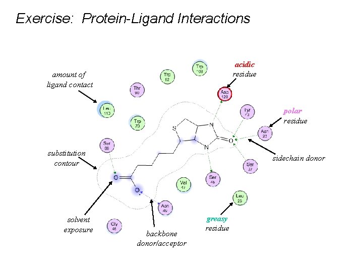 Exercise: Protein-Ligand Interactions acidic residue amount of ligand contact polar residue substitution contour solvent