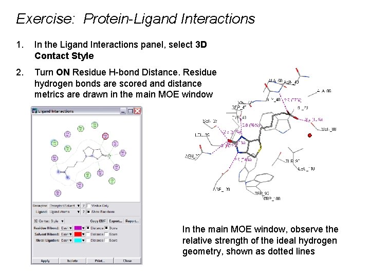 Exercise: Protein-Ligand Interactions 1. In the Ligand Interactions panel, select 3 D Contact Style