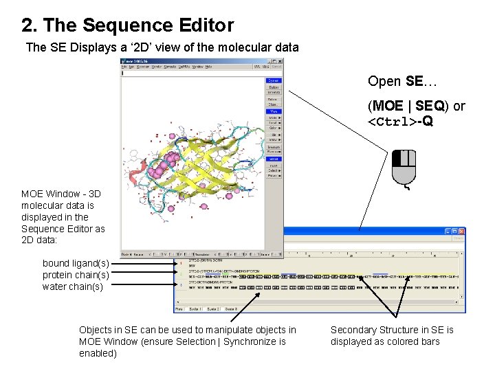 2. The Sequence Editor The SE Displays a ‘ 2 D’ view of the