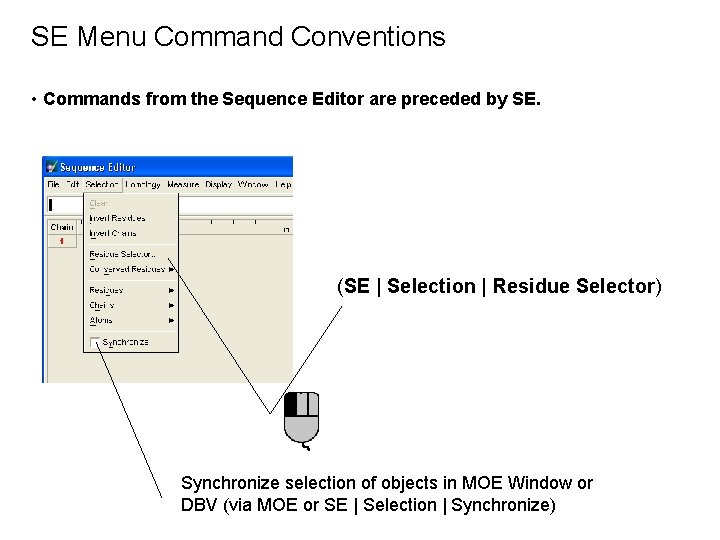 SE Menu Command Conventions • Commands from the Sequence Editor are preceded by SE.